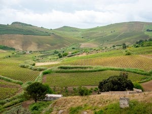 Voyage en Sicile – ode au terroir et à la vigne