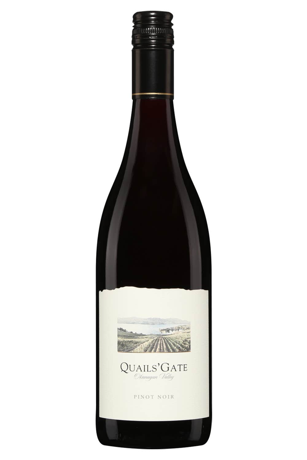 Quails gate wine shop