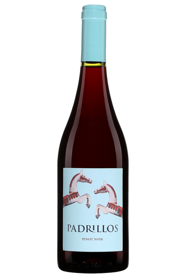 Padrillos Pinot noir Mendoza
