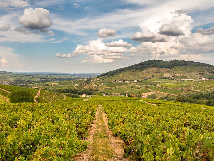 Beaujolais