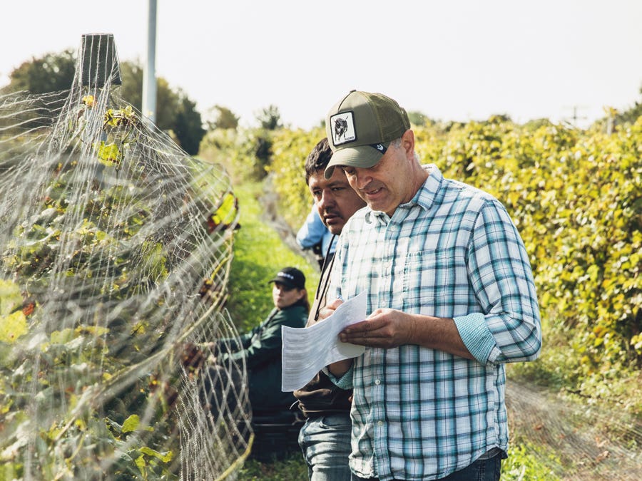 Génération régénération: viticulture d'avant-garde