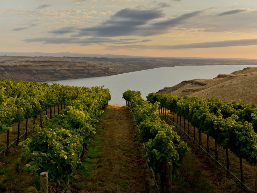 washington wines