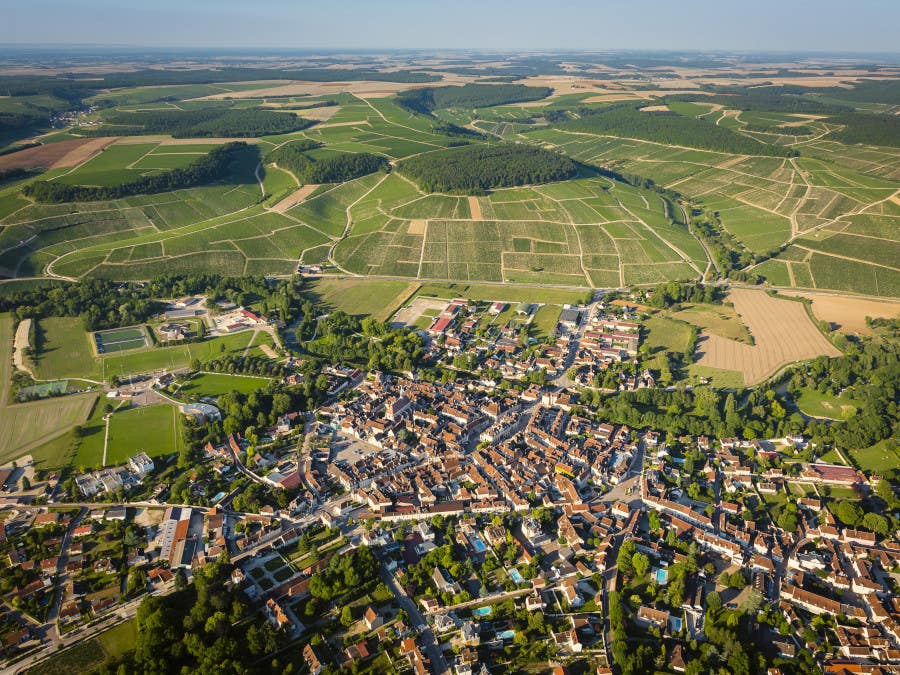 Vignoble de Chablis