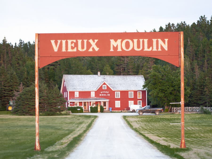 hydromellerie, hydromel, gaspesie, vieux moulin, vin de miel