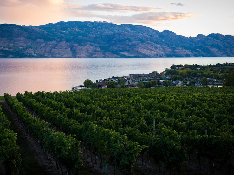 Vallée de l’Okanagan