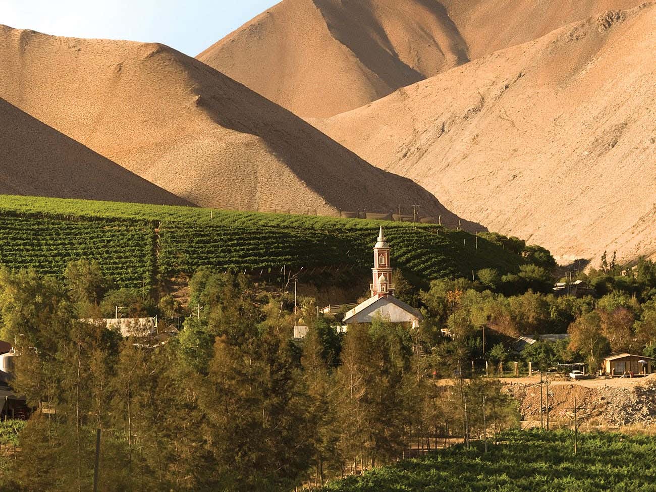 Elqui Valley