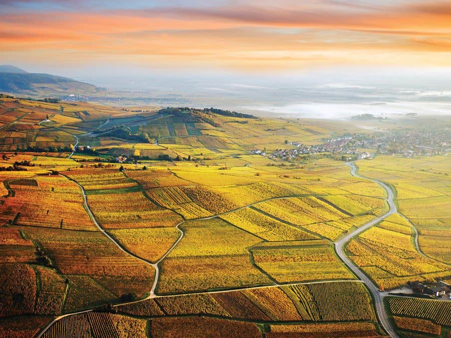 Paysage Alsace Paysage Alsace