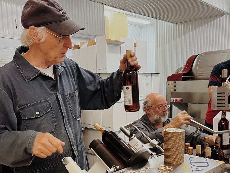 Le vignoble du Domaine l’Ange Gardien : du cœur au verre