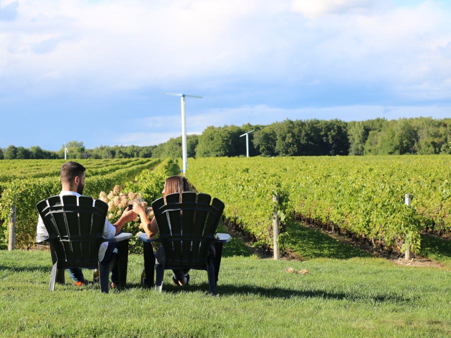 Vignoble Rivière du Chêne © Marie Charest