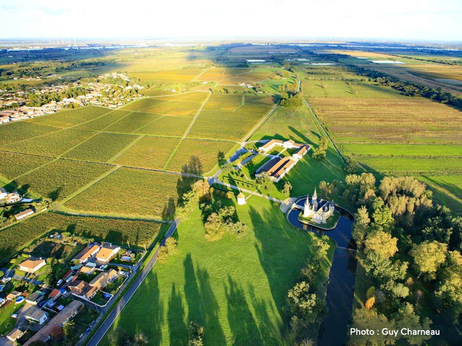 Médoc vineyard