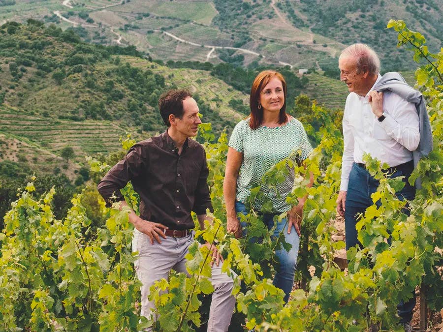 Torres family in their vineyard.