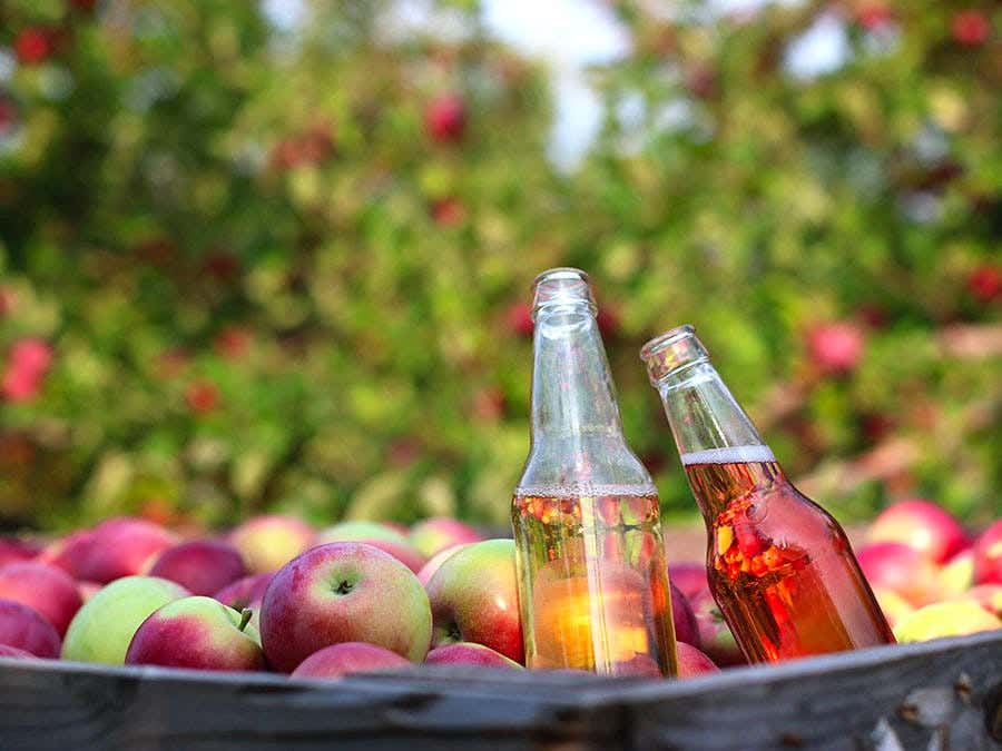 Quebec ciders