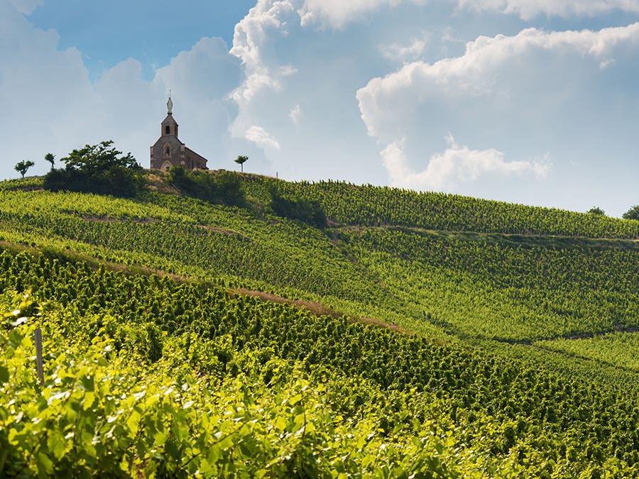 Beaujolais, France