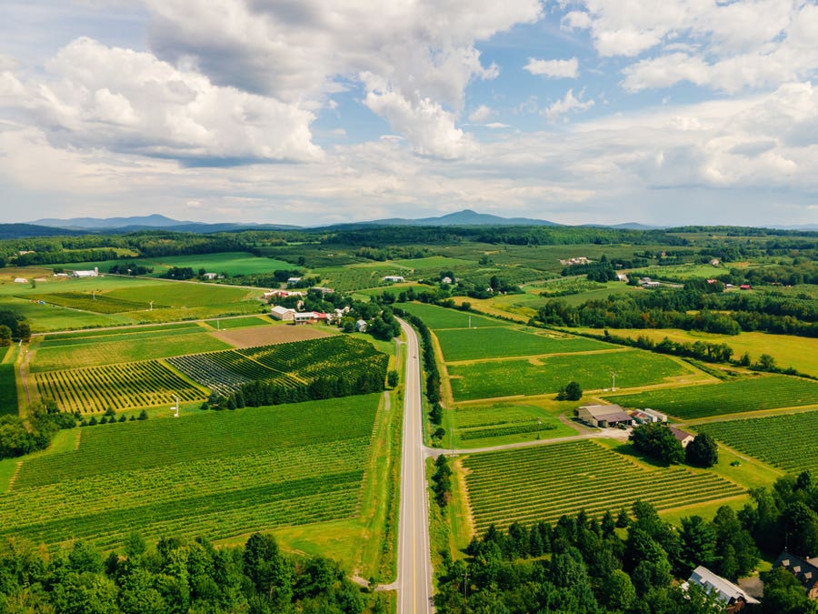 Les 20 ans de La Route des vins de Brome-Missisquoi