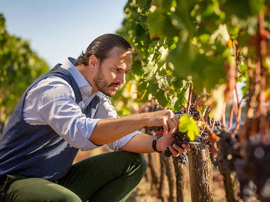 Les vins de la famille Moueix