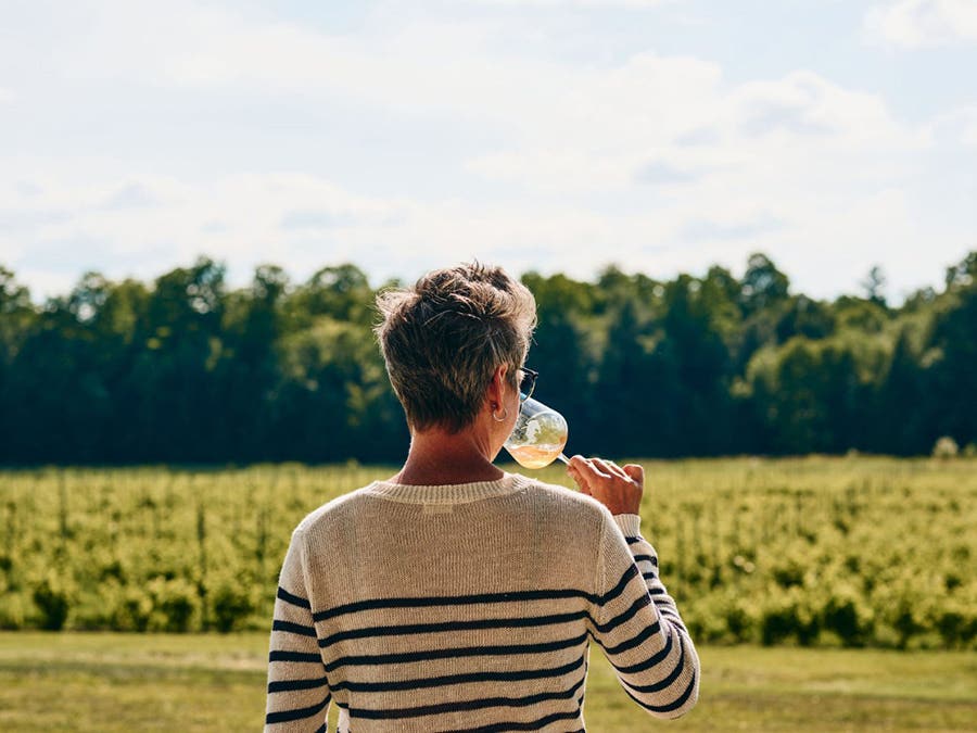 Climate Change: The impact on Quebec wines