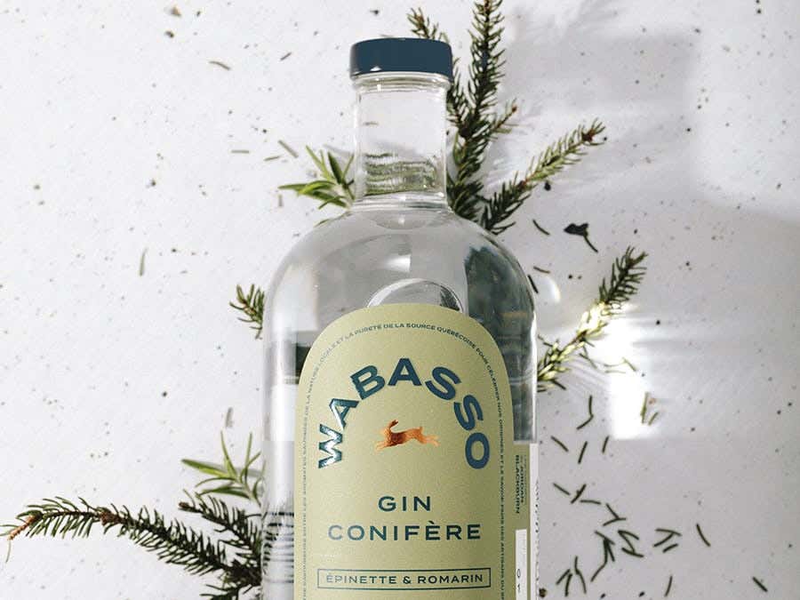  Gin Conifère