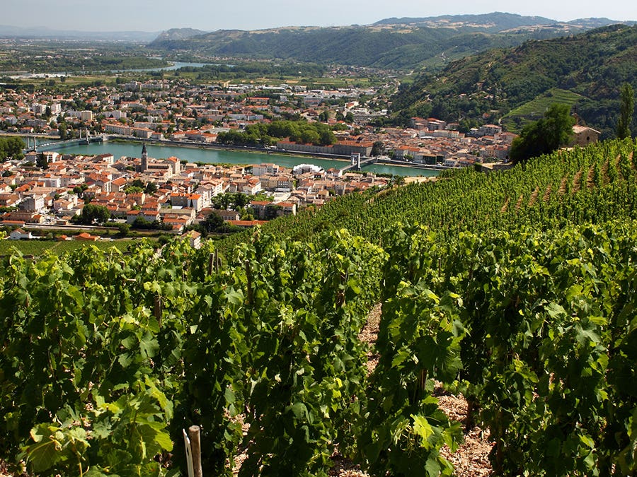 La vallée du Rhône