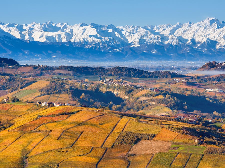 italian wine alessandro berselli