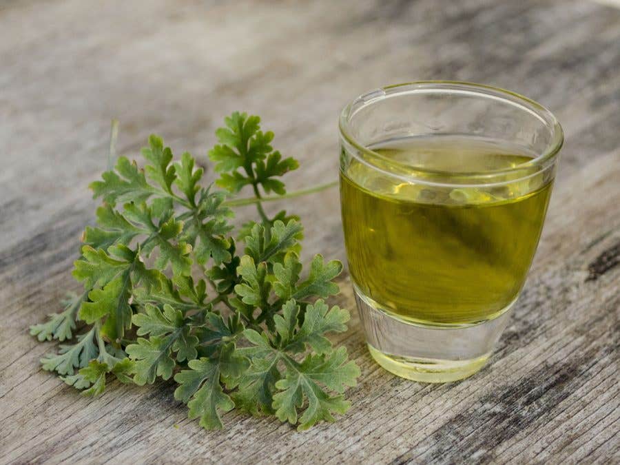 verre avec de l'absinthe