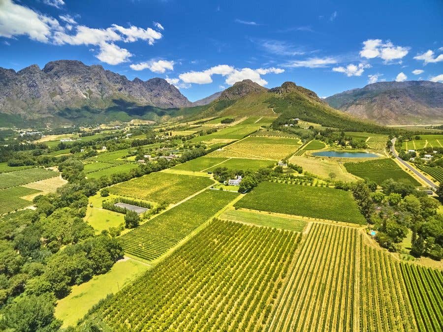 valée vignoble afrique du sud