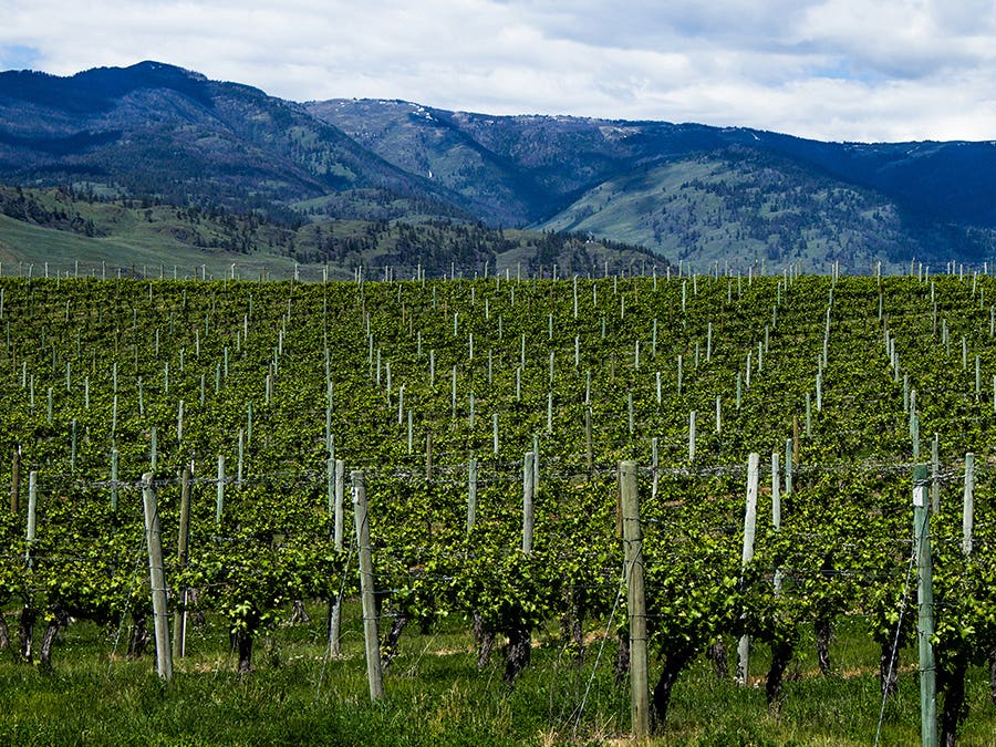 Nouvelle-Zélande Central Otago