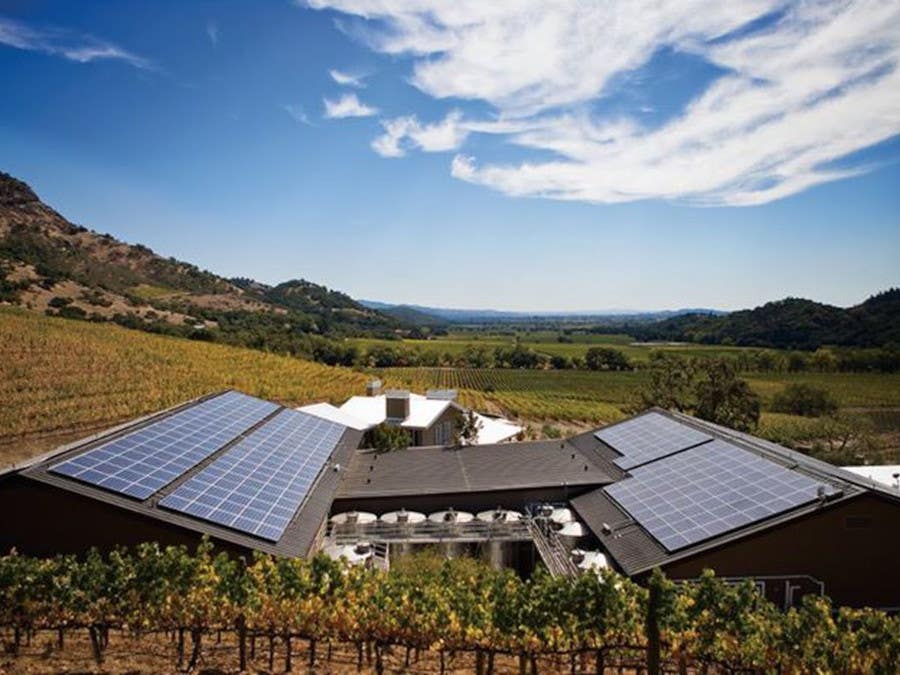 california wines, Sustainable Winegrowing