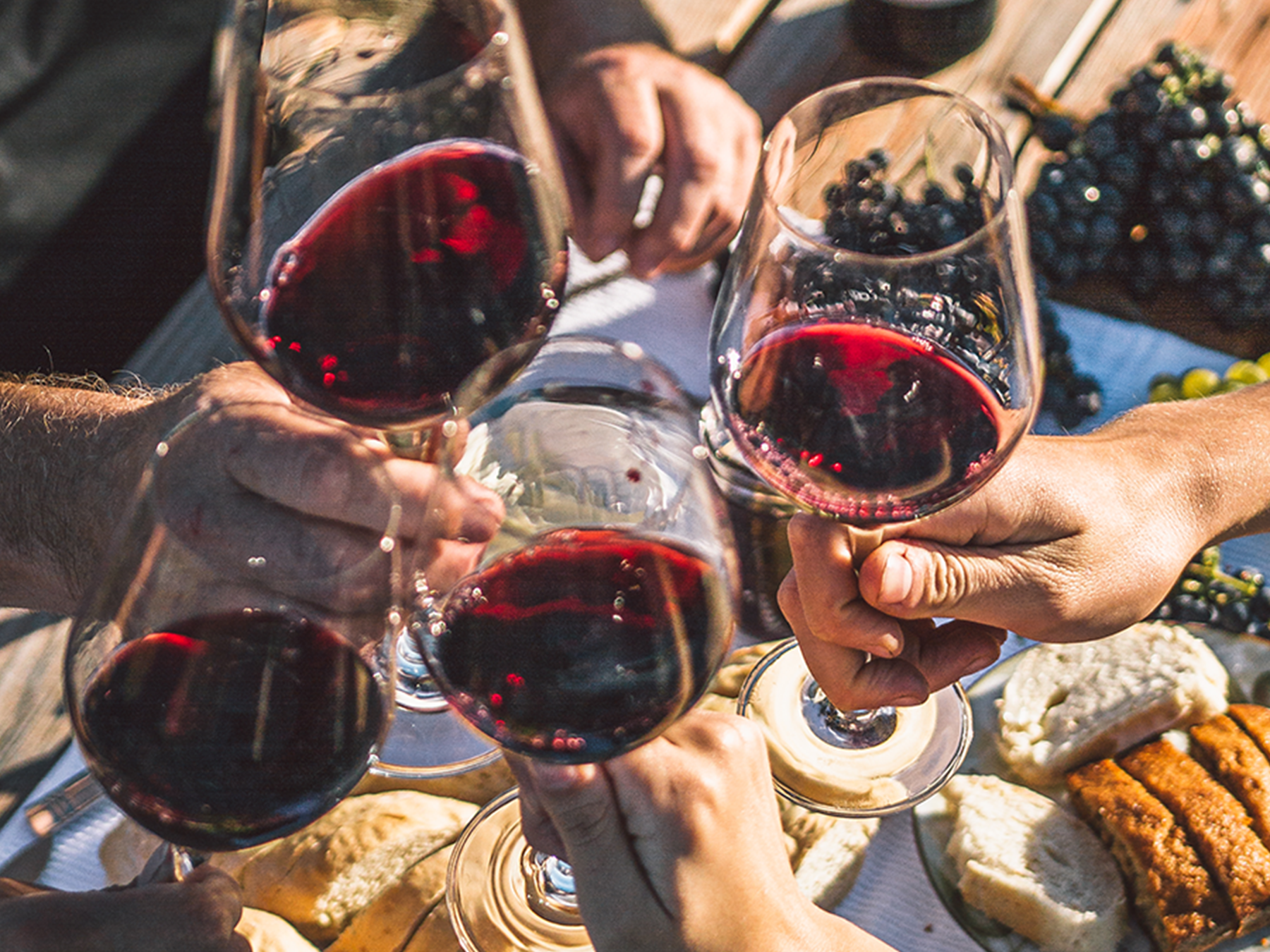 Four glasses of red wine, people doing a cheers