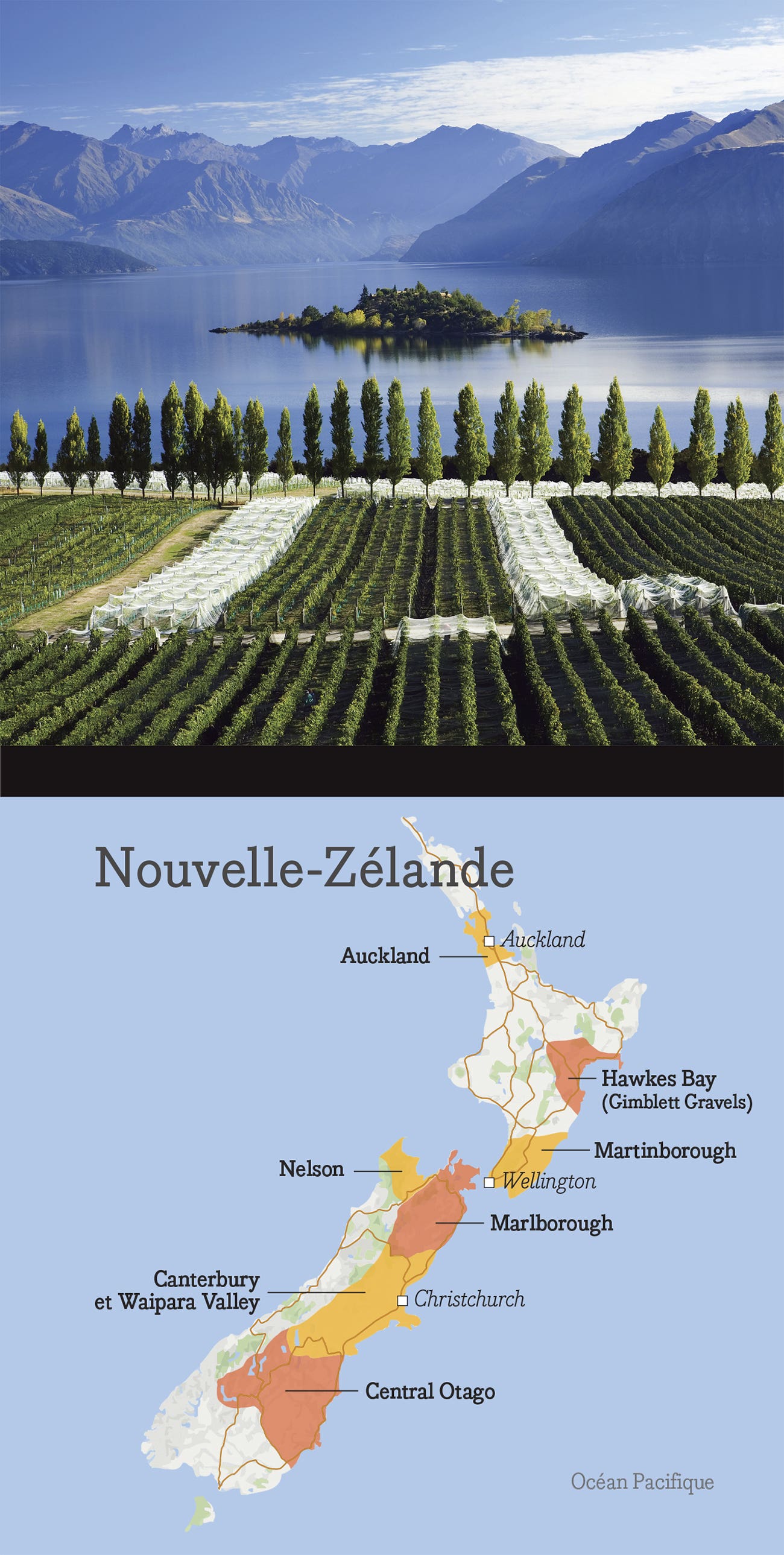 Fiche vinicole - Nouvelle Zélande