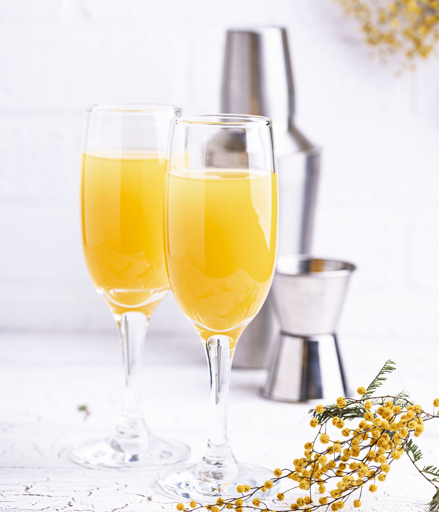 Mimosa