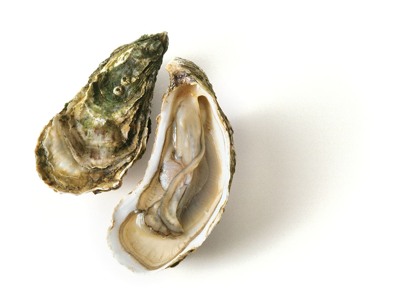 Wine and Oyster Pairings