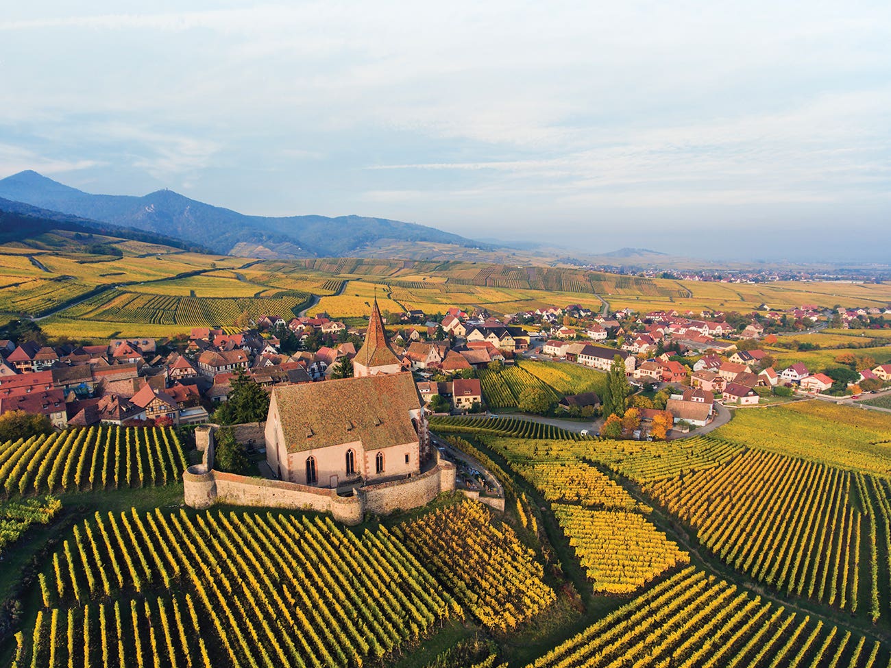 Vue aérienne des plaines et vignobles en Alsace