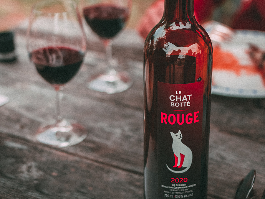 Chat botté vineyard red 2020