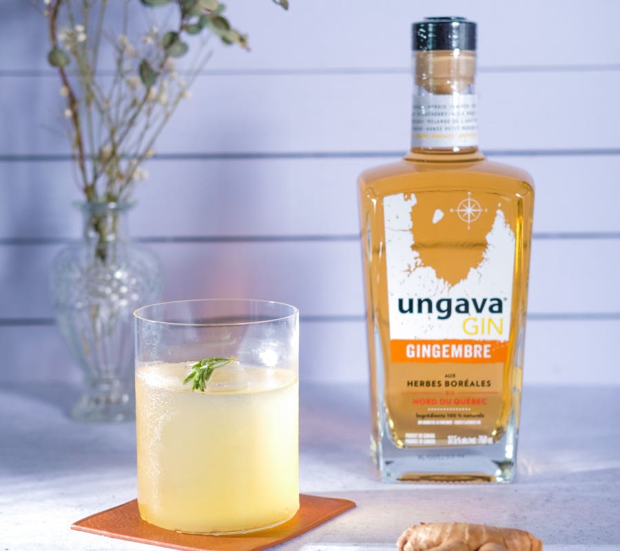 bottle of ungava ginger gin with cocktail