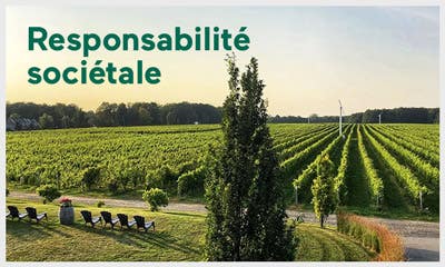 Responsabilité sociétale