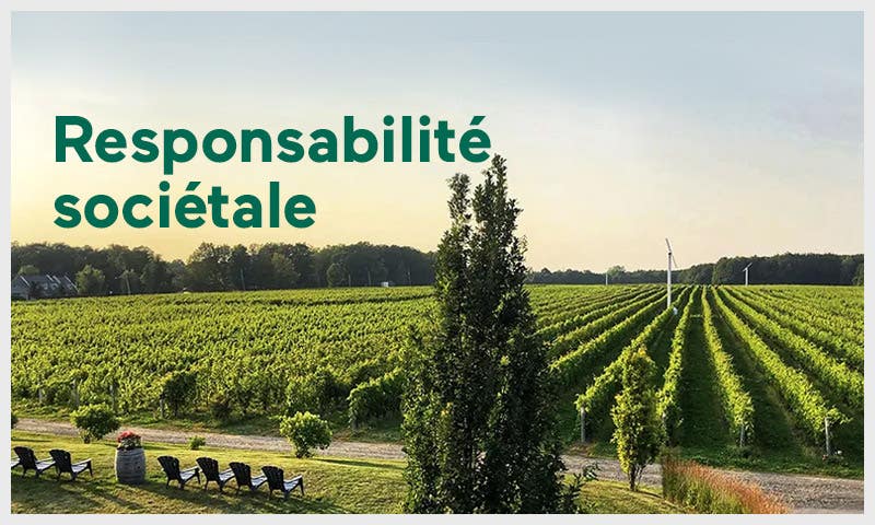 Responsabilité sociétale