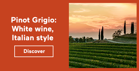 Pinot Grigio: White wine, Italian style