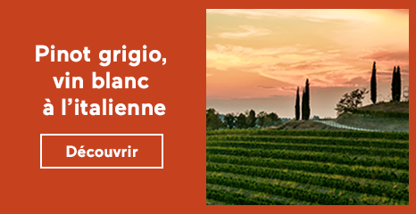 Pinot grigio, vin blanc à l’italienne