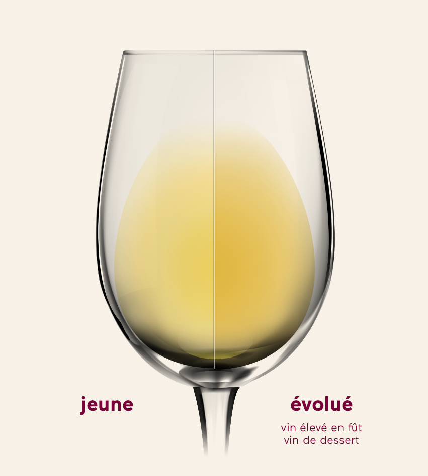 Chenin Blanc