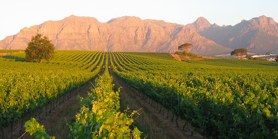 Un terroir exceptionnel