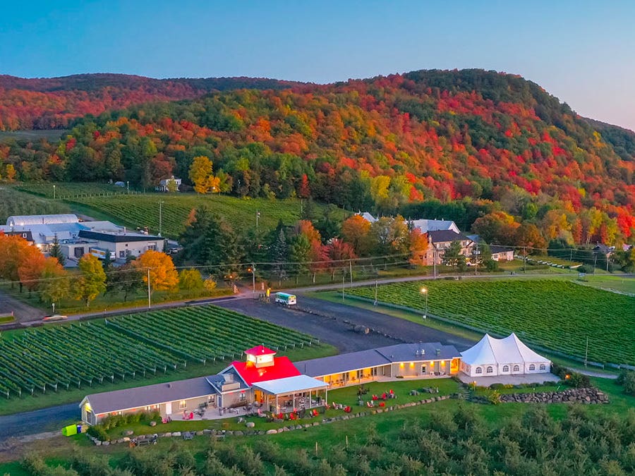 Vignoble Rivière du Chêne