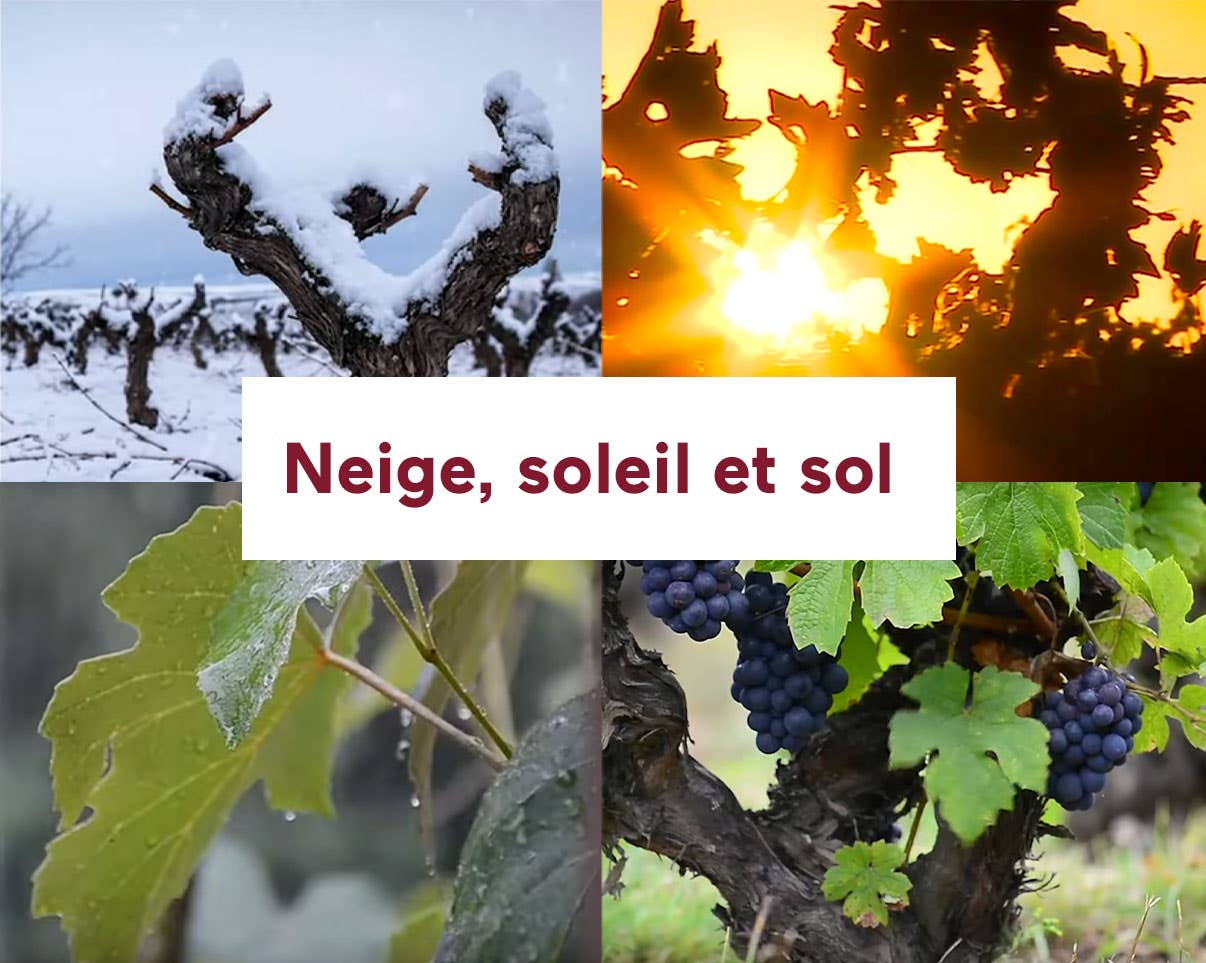 Neige, soleil et sol