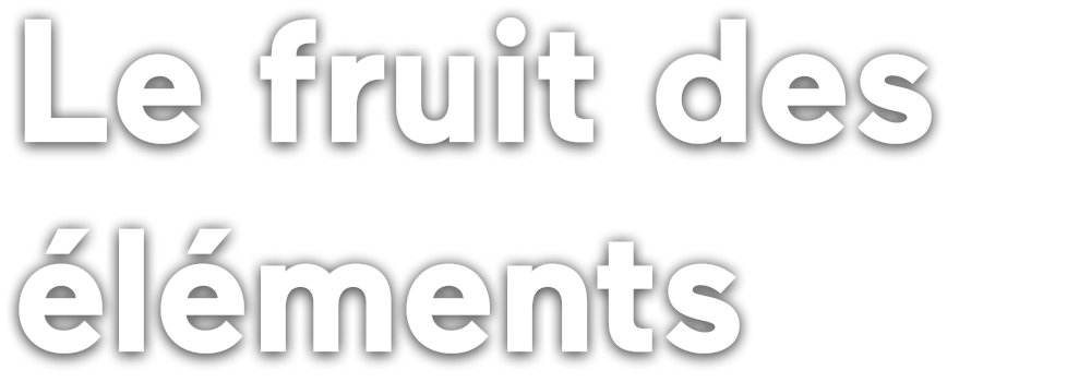 Le fruit des éléments