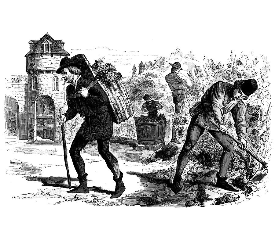 Travaux de la vigne au Moyen Âge. Travaux de la vigne au Moyen Âge.