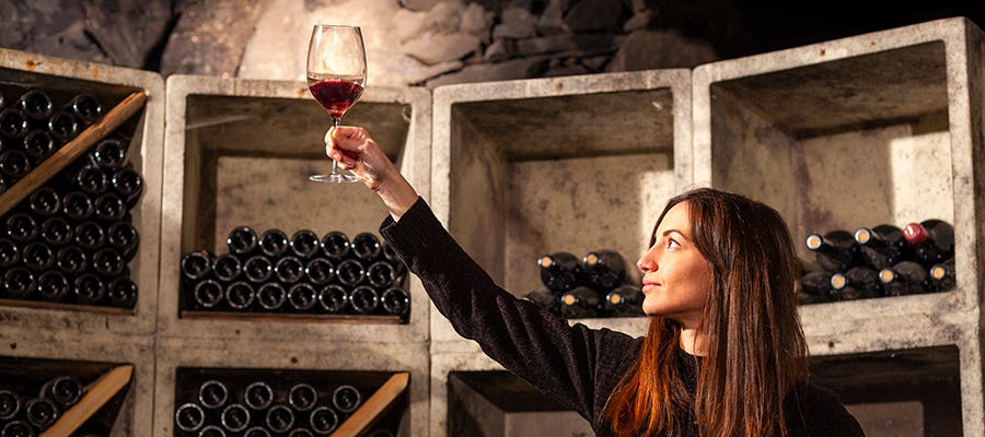 Work at the cellar, œnologist Work at the cellar, œnologist