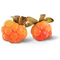 Saveur : Airelles