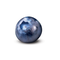 Saveur : Bleuet