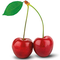 Flavour : Sour cherry