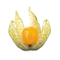 Flavour : Ground cherry