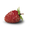 Flavour : Wild strawberry